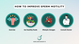 Sperm Motility: How It Affects Male Fertility