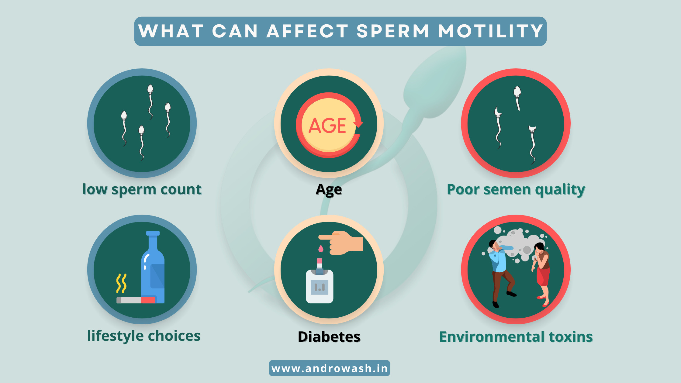 Sperm Motility: How It Affects Male Fertility